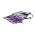 uw_whitewater-1.png